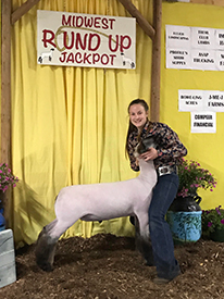 Suddeth Lamb Co. Winners