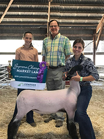 Suddeth Lamb Co. Winners