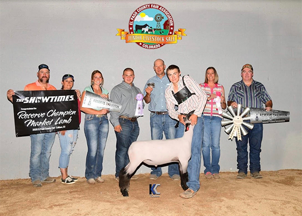 Suddeth Lamb Co. Winners