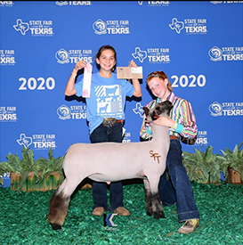 Suddeth Lamb Co. Winners