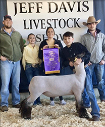 Suddeth Lamb Co. Winners